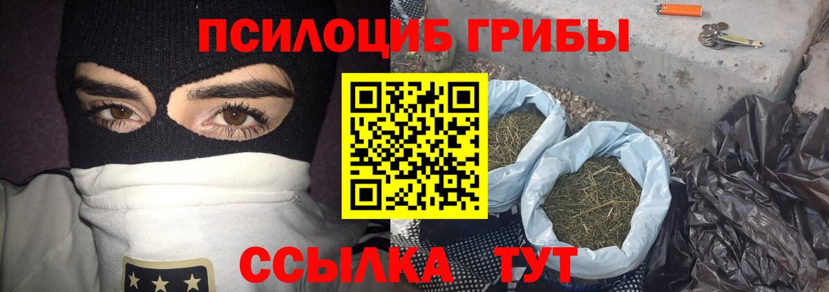 дарнет шоп  Галлюциногенные грибы мицелий  Вход с VPN  Белгород 